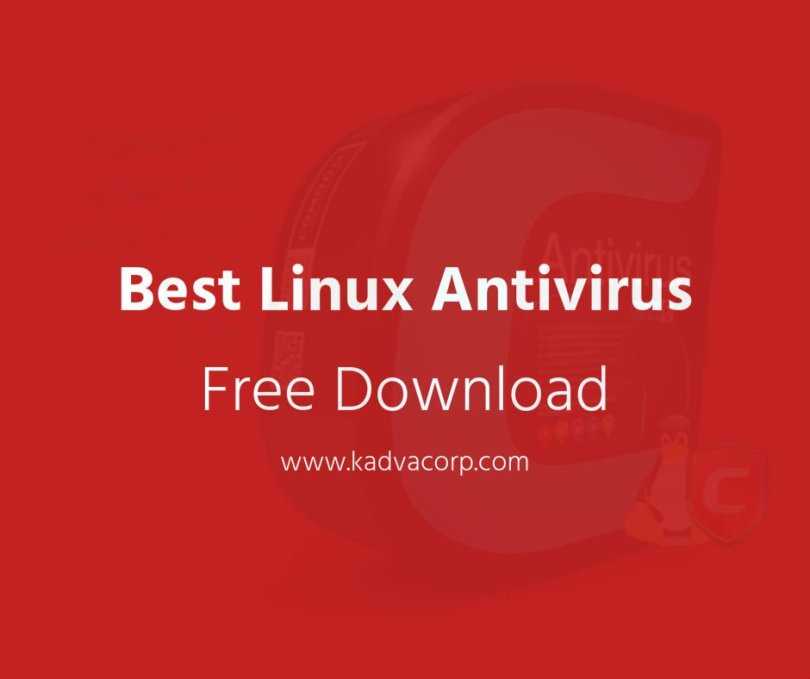 10 антивирусных программ для linux - komyounity