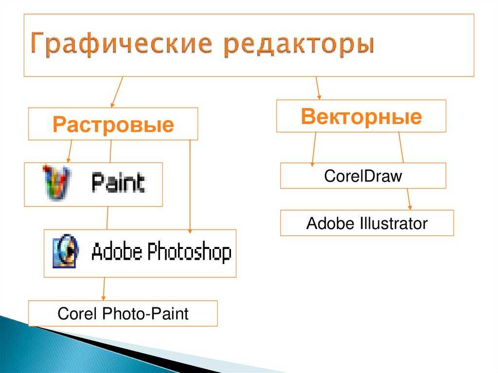 Какой тип графического изображения вы будете. Графический редактор. Редакторы растровой и векторной графики. Виды графических редакторов. Растровые и векторные графические редакторы.