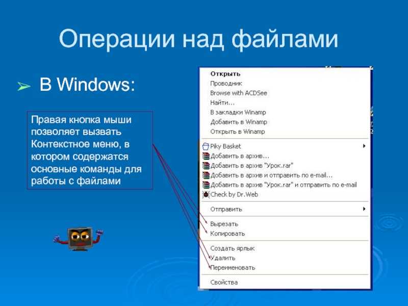 Файловые системы ос windows