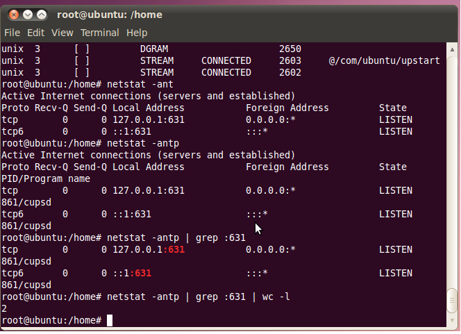 Linux занятые порты. Вывод утилиты "IP" В линукс. Linux тестирование сети. Расположение Home Linux.