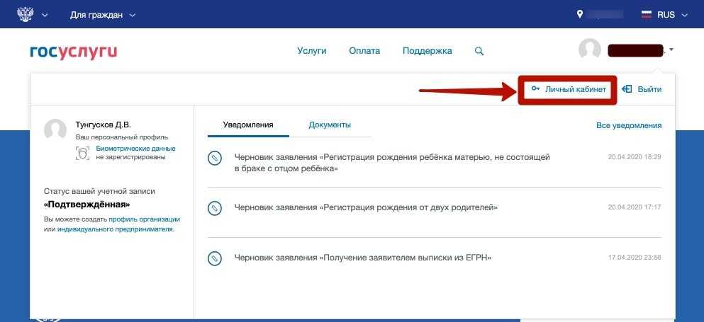 Важно фото отправленное через госуслуги не будет в паспорте оно останется в личном деле