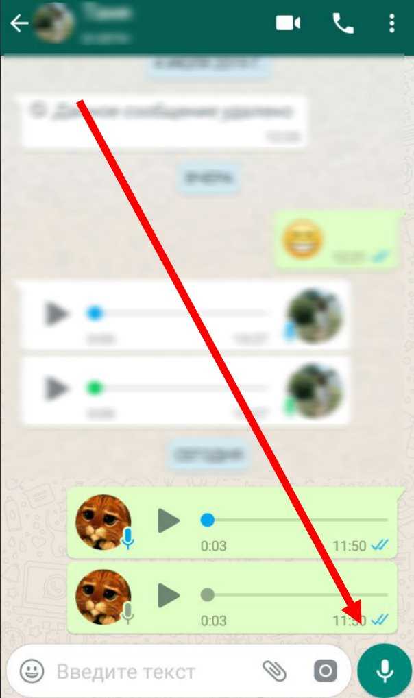 Звук в whatsapp — установка и настройка звука в приложении