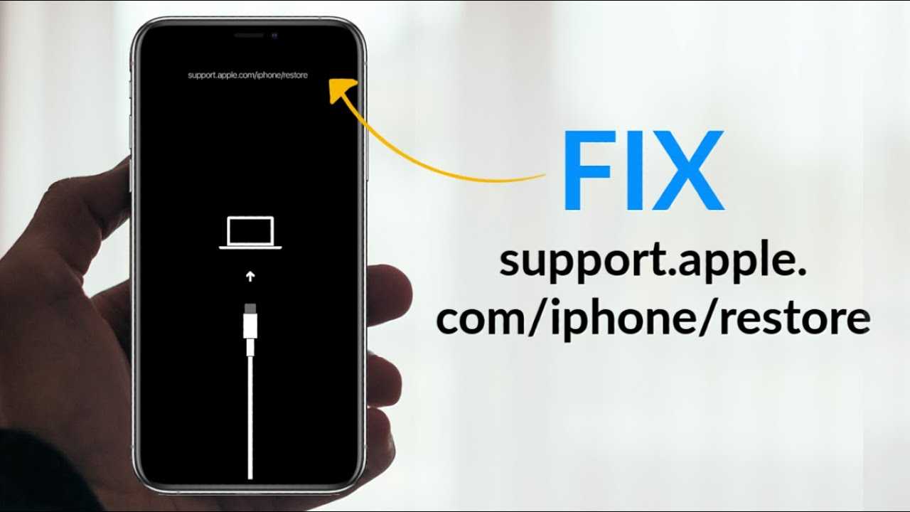 Экран support apple iphone restore