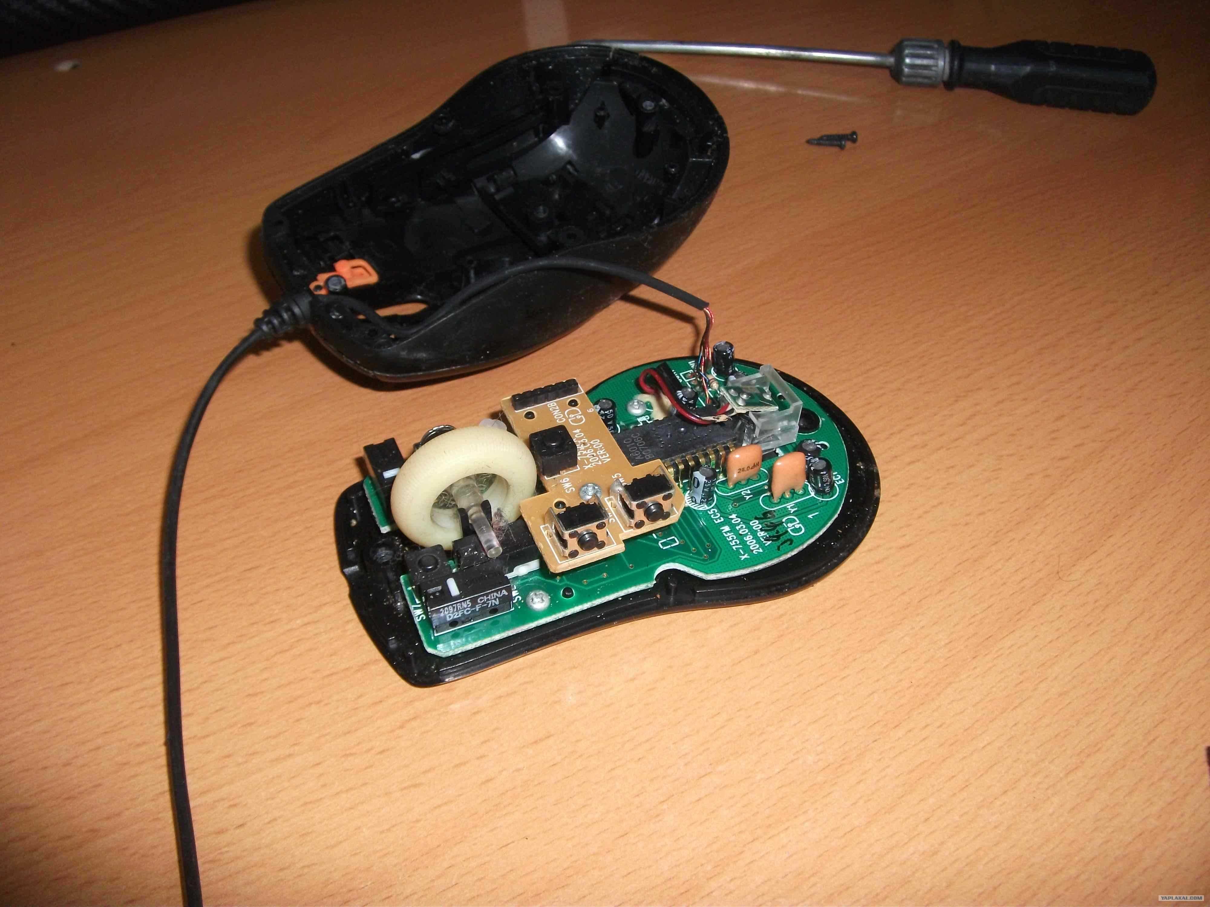 Как отремонтировать компьютерную мышь - мужик в доме.ру
