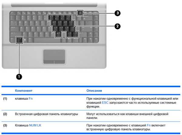 ✅ не работает fn и функциональные клавиши f1÷f12 на ноутбуке - wind7activation.ru