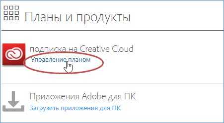Adobe creative cloud для рабочих групп