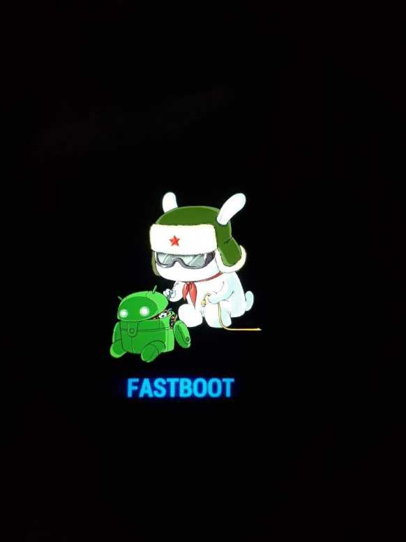 Фаст бот что делать. Xiaomi Redmi Note 8 Pro Fastboot. Сяоми ми 9 Fastboot. Кролик Xiaomi Fastboot. Fastboot Xiaomi Note 8.