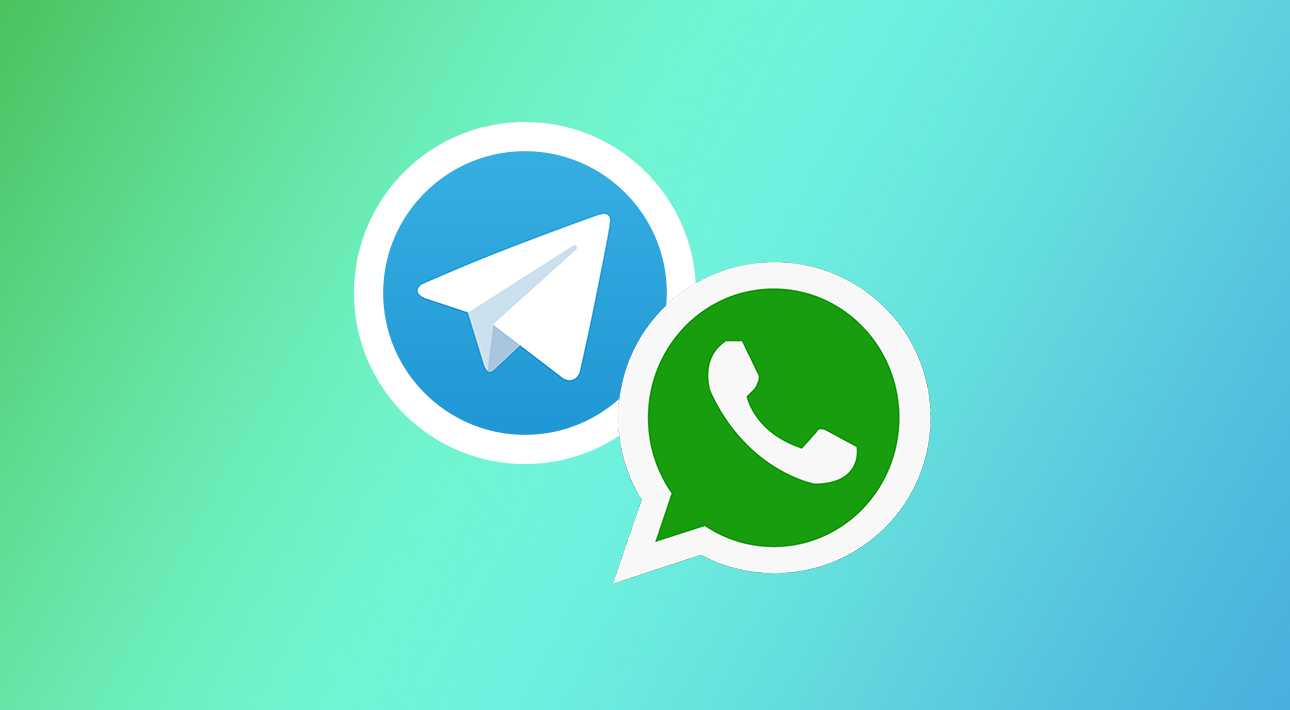 Telegram или whatsapp: что лучше? | redcher