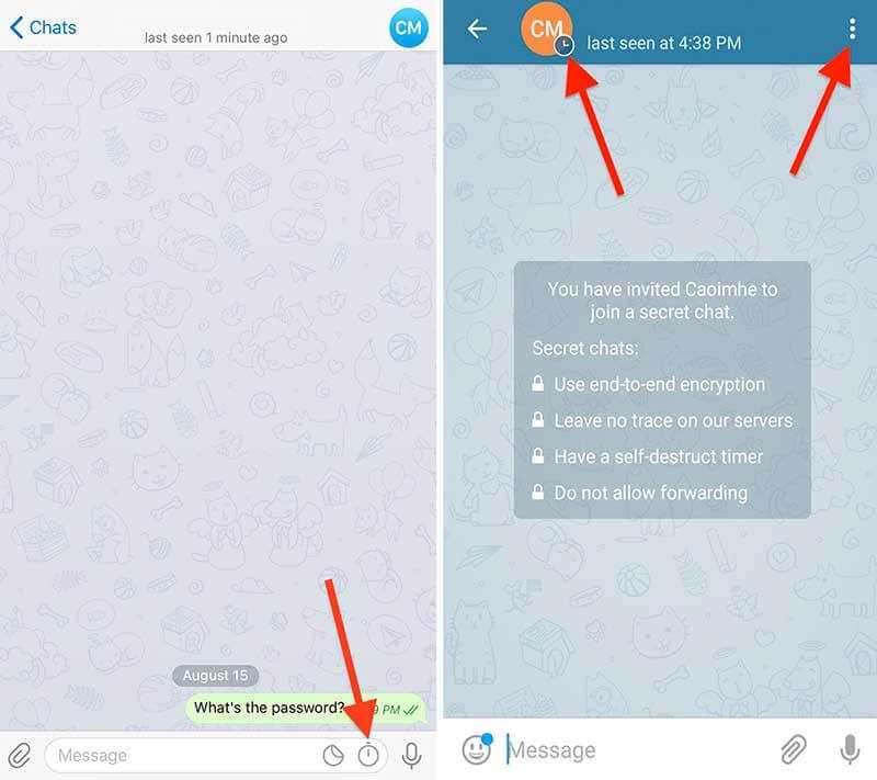 Почему в телеграмме прочитаны сообщения. Секретный чат в телеграме. Секрет чат в телеграмме. Секретные сообщения в телеграм. Как сделать секретный чат.