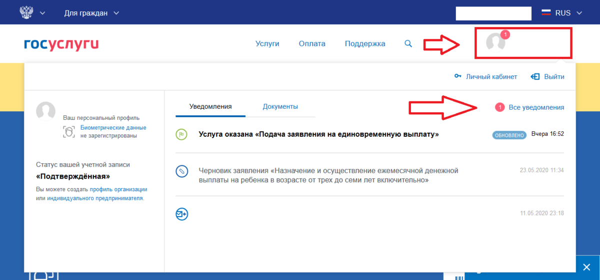 Почему в указанный. Уведомление в госуслугах. Лента уведомлений в госуслугах. Статус в госуслугах. Где найти заявление на госуслугах.